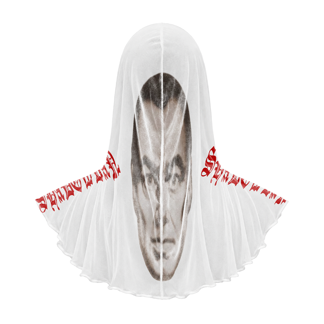 Don't Be Dumb Tour Mesh Hood Back