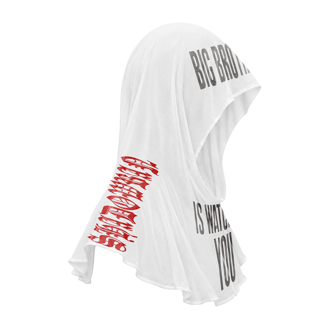 Don't Be Dumb Tour Mesh Hood Right
