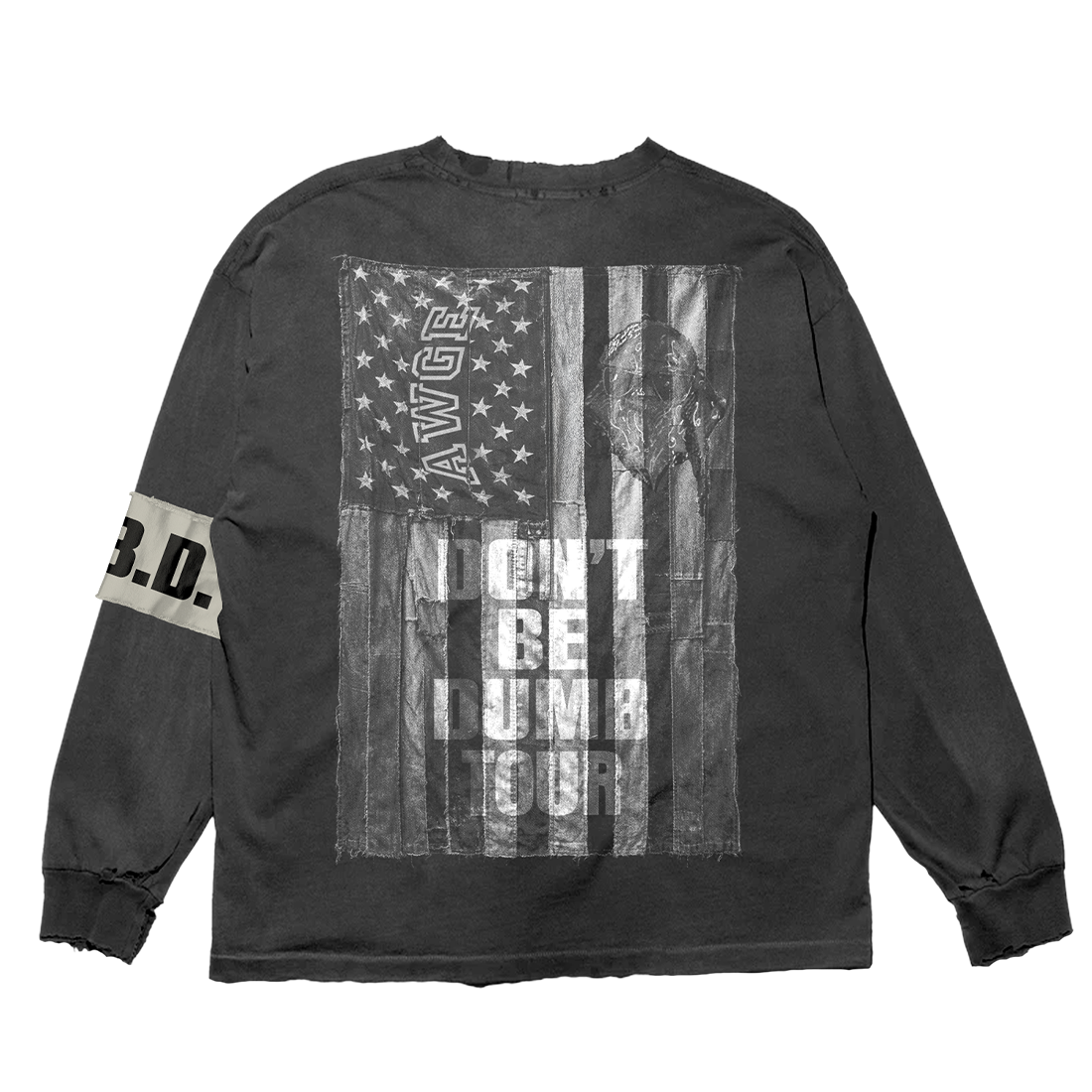 Don't Be Dumb Tour Rhinestone Flag Long Sleeve Back