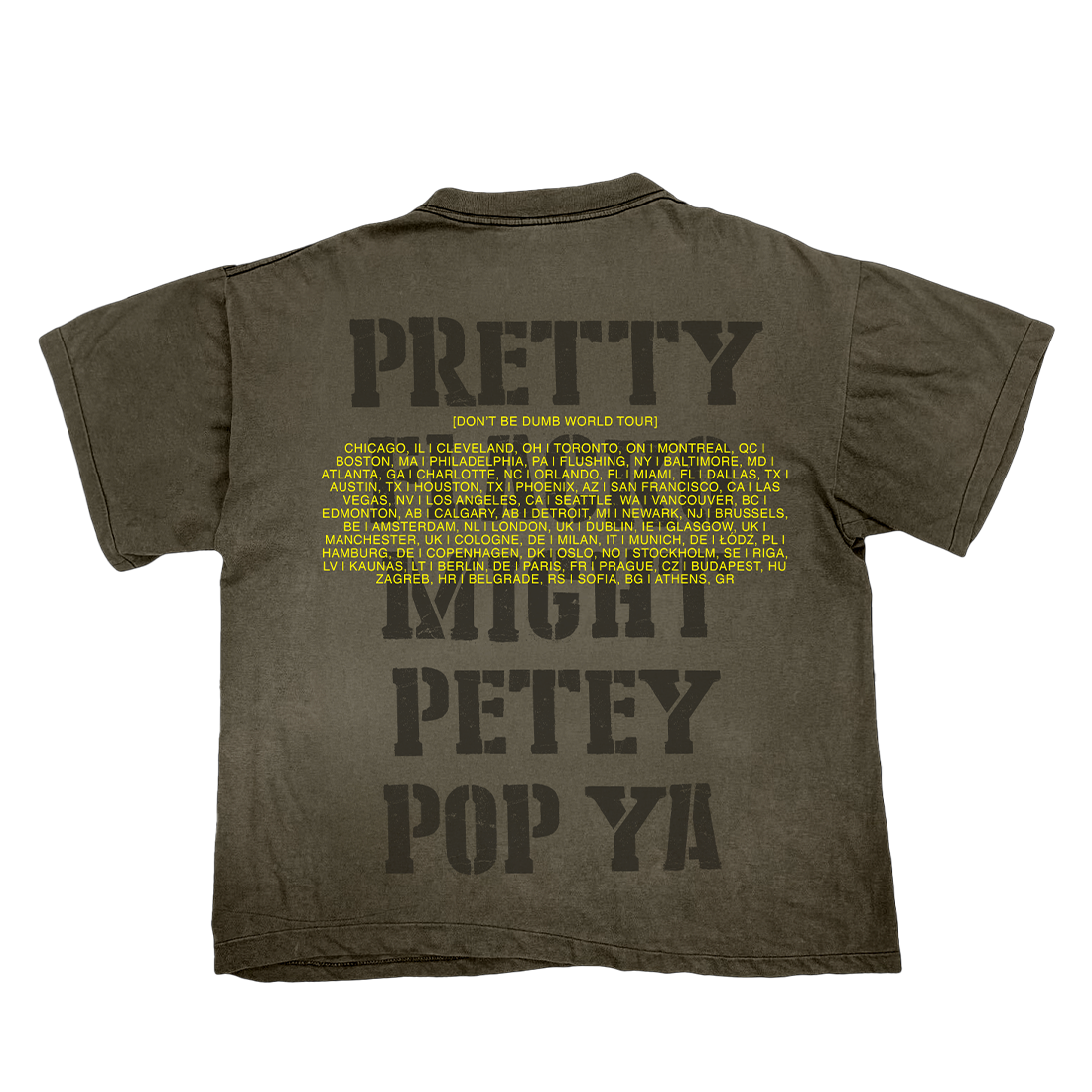 Don’t Be Dumb Tour Pretty Flacko T-Shirt Back