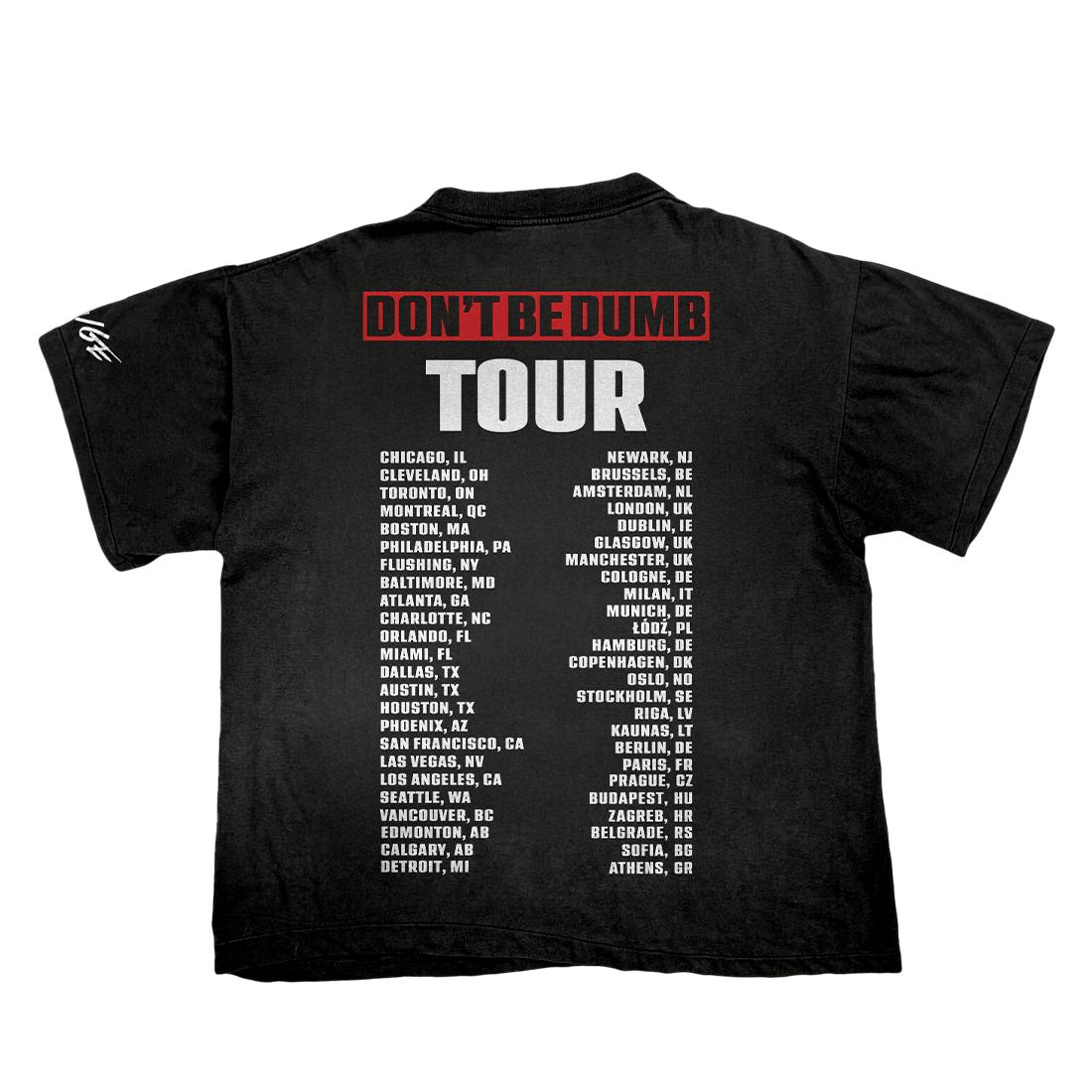Don't Be Dumb Tour Smiley Dateback T-Shirt Back