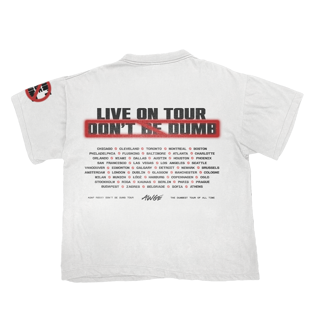 Don’t Be Dumb Tour Airbrush Dateback T-Shirt Back
